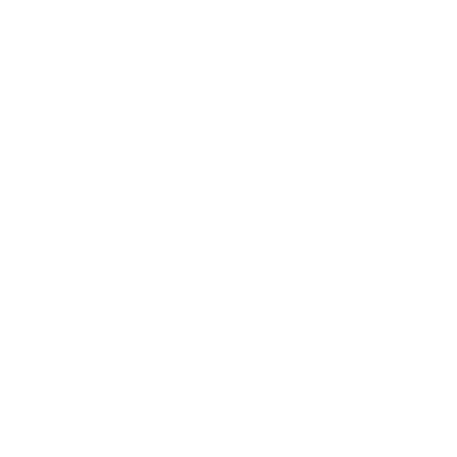 Bespoke Icon