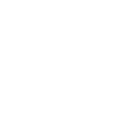 Bespoke Icon