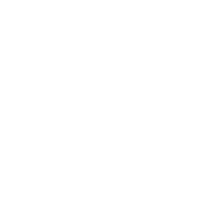 CFO / Finance Manager